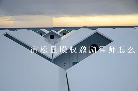 宿松县股权激励律师怎么收费 宿松县股权激励律师怎么收费