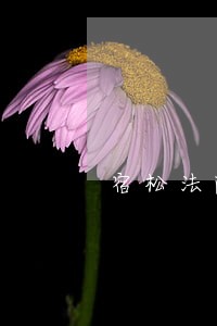 宿松法院法官电话号码 宿松法院法官电话号码