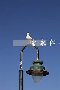 宿永阳寄璨律师 宿永阳寄璨律师