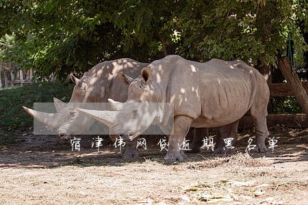 宿津伟网贷逾期黑名单 宿津伟网贷逾期黑名单