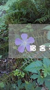 宿舍不验收就安排学生违法吗 宿舍不验收就安排学生违法吗