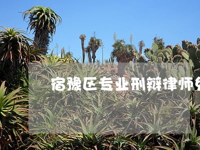 宿豫区专业刑辩律师免费法律咨询