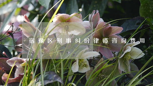 宿豫区刑事纠纷律师咨询费用 宿豫区刑事纠纷律师咨询费用