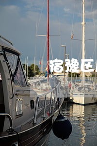 宿豫区局局长李彦 宿豫区局局长李彦