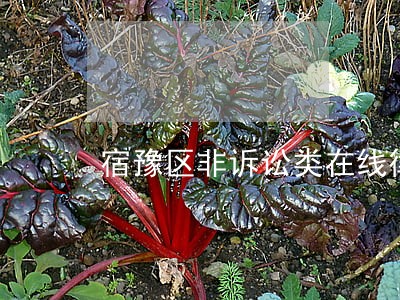 宿豫区非诉讼类在线律师 宿豫区非诉讼类在线律师