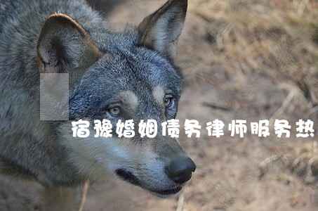宿豫婚姻债务律师服务热线 宿豫婚姻债务律师服务热线