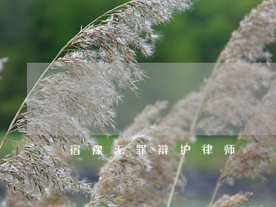 宿豫无罪辩护律师 宿豫无罪辩护律师
