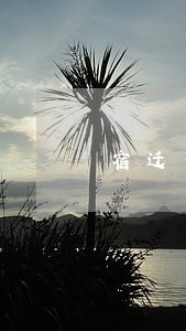 宿迁专业刑事辩护律师找谁