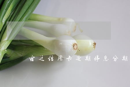 宿迁信用卡逾期停息分期怎么协商 宿迁信用卡逾期停息分期怎么协商