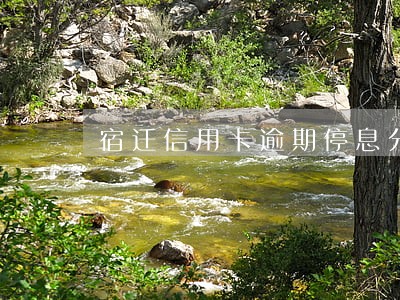 宿迁信用卡逾期停息分期申请条件 宿迁信用卡逾期停息分期申请条件