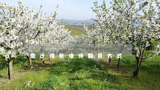 宿迁债务律师联系方式 宿迁债务律师联系方式