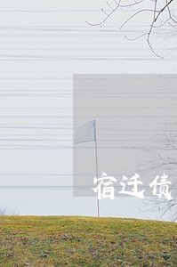 宿迁债务清偿律师风险代理