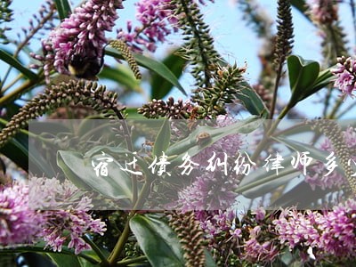 宿迁债务纠纷律师多少钱 宿迁债务纠纷律师多少钱