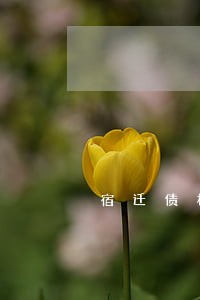 宿迁债权债务律师介绍 宿迁债权债务律师介绍