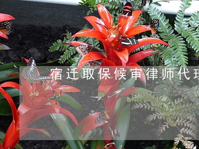 宿迁取保候审律师代理费诚信严谨 宿迁取保候审律师代理费诚信严谨