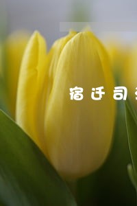 宿迁司法学院号码 宿迁司法学院号码