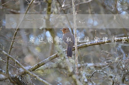 宿迁周边取保候审律师在线咨询 宿迁周边取保候审律师在线咨询