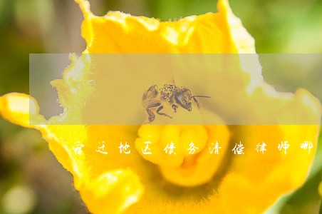 宿迁地区债务清偿律师哪里找
