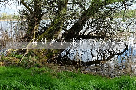 宿迁地区沭阳债权债务律师 宿迁地区沭阳债权债务律师