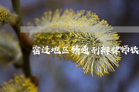 宿迁地区精通刑辩律师收费 宿迁地区精通刑辩律师收费