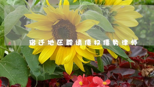 宿迁地区聘请债权债务律师 宿迁地区聘请债权债务律师