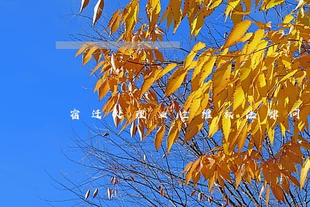 宿迁处理业主维权法律问题律师 宿迁处理业主维权法律问题律师
