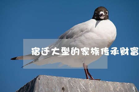 宿迁大型的家族传承财富律师 宿迁大型的家族传承财富律师