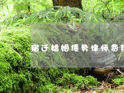 宿迁婚姻债务律师费用是多少 宿迁婚姻债务律师费用是多少