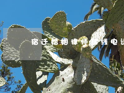 宿迁婚姻律师热线电话 宿迁婚姻律师热线电话