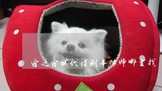 宿迁宿城代理刑事律师哪里找