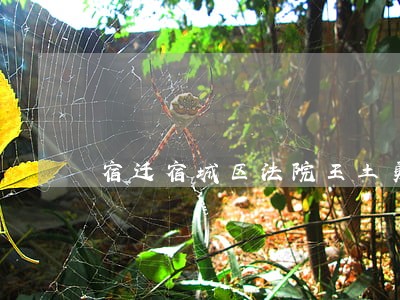 宿迁宿城区法院王土勇 宿迁宿城区法院王土勇
