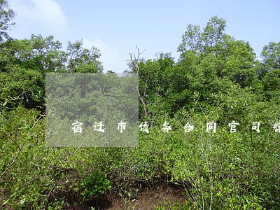 宿迁市债务合同官司律师费用多少 宿迁市债务合同官司律师费用多少