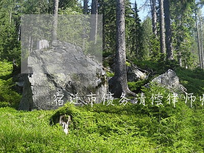 宿迁市债务清偿律师收费标准 宿迁市债务清偿律师收费标准