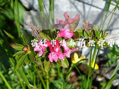 宿迁市债务清偿律师电话 宿迁市债务清偿律师电话