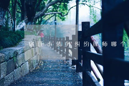 宿迁市债务纠纷律师哪个好 宿迁市债务纠纷律师哪个好