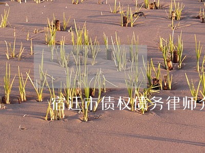 宿迁市债权债务律师介绍 宿迁市债权债务律师介绍