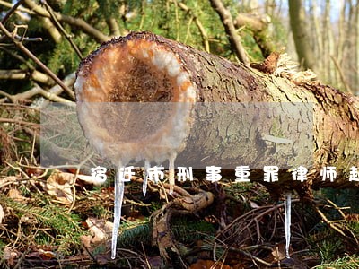 宿迁市刑事重罪律师起诉费用 宿迁市刑事重罪律师起诉费用