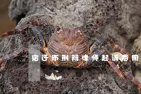 宿迁市刑辩律师起诉费用 宿迁市刑辩律师起诉费用