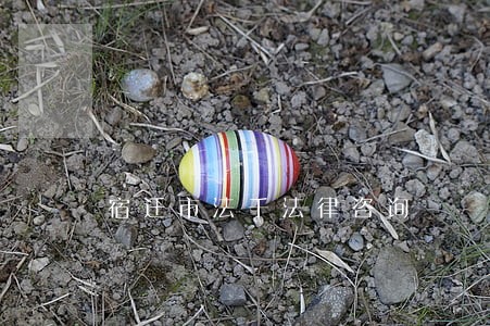 宿迁市法千法律咨询
