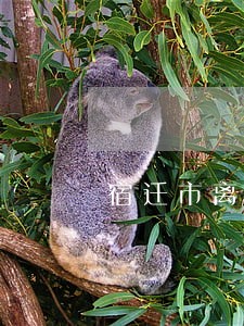 宿迁市离婚口碑好的律师哪个好 宿迁市离婚口碑好的律师哪个好