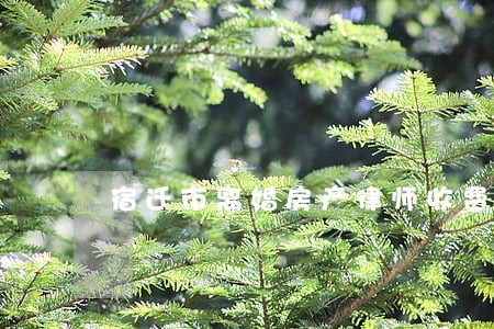 宿迁市离婚房产律师收费 宿迁市离婚房产律师收费