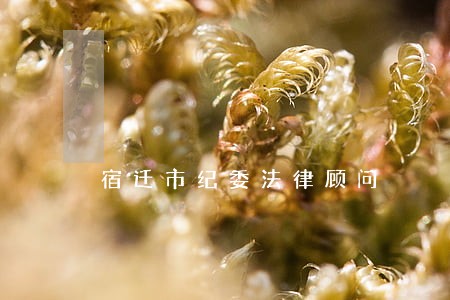 宿迁市纪委法律顾问 宿迁市纪委法律顾问