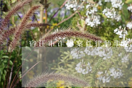 宿迁市诈骗案件律师事务所 宿迁市诈骗案件律师事务所