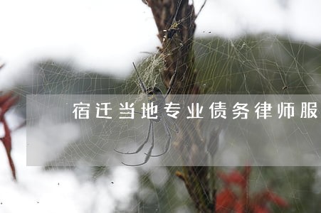 宿迁当地专业债务律师服务 宿迁当地专业债务律师服务