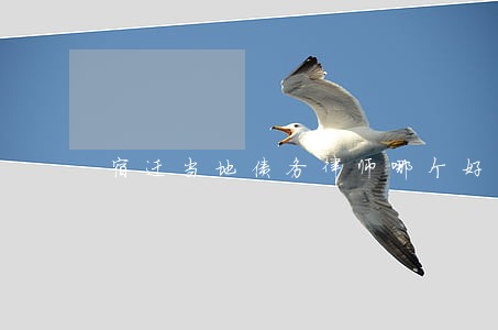 宿迁当地债务律师哪个好 宿迁当地债务律师哪个好