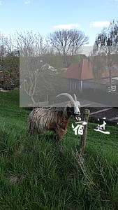 宿迁当地债务纠纷律师在线咨询 宿迁当地债务纠纷律师在线咨询