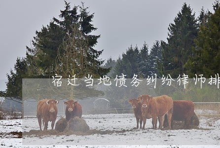 宿迁当地债务纠纷律师排名 宿迁当地债务纠纷律师排名