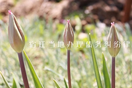 宿迁当地办理债务纠纷律师哪里找 宿迁当地办理债务纠纷律师哪里找