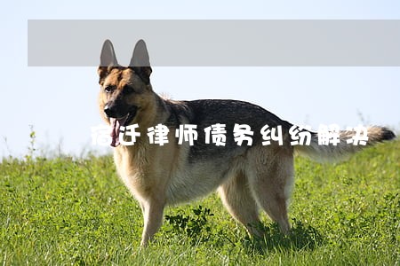 宿迁律师债务纠纷解决 宿迁律师债务纠纷解决