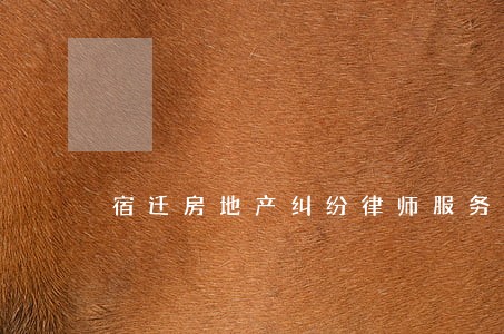 宿迁房地产纠纷律师服务